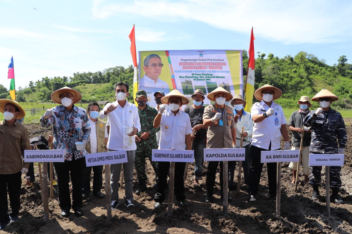 Wakil Ketua DPRD Sulbar Dampingi Gubernur Canangkan 300 Hektare Penanaman Kedelai di Tinambung
